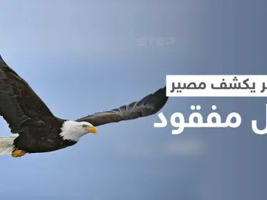 نسر يحلّق فوق منطقة مهجورة يحل لغز غامض ويكشف مصير رجل مفقود منذ أيام - وكالة ستيب نيوز