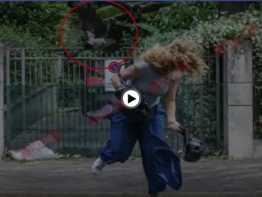 بالفيديو والصور|| خطر قادم من السماء يهدد سكان مدينة روما الإيطالية ويقلق مضاجعهم - وكالة ستيب نيوز