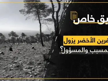 غابات عفرين تتحول إلى صحراء جرداء وجهات نافذة تبني ثروات على حساب قوت الناس - وكالة ستيب نيوز
