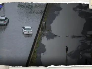 شاهد|| هروب "أسد بحر" من حديقة حيوان سنترال بارك إثر فيضانات نيويورك - وكالة ستيب نيوز
