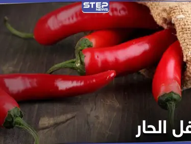 أكثر الفوائد غرابة 