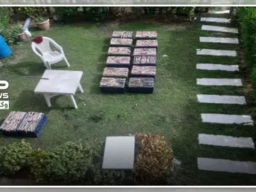 بالصور|| الأمن المصري يضبط مجموعة صينيين تعد كمية ضخمة من الثعابين كوجبة غذاء - وكالة ستيب نيوز