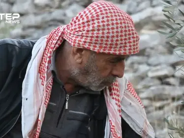 الحاج "نادر" رجل مصاب يتحدى إصابته ويعمل في قطاف الزيتون لتأمين لقمة العيش - وكالة ستيب نيوز