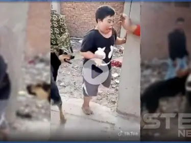 غضب مصري عارم على شابين أرهبا طفل من ذوي الاحتياجات الخاصة بكلب.. والسلطات تتحرك (فيديو) - وكالة ستيب نيوز