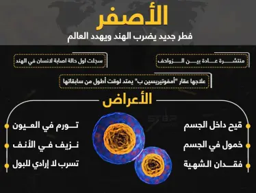 الفطر الأصفر.. خطر جديد يهدد العالم ماذا تعرف عنه؟ - وكالة ستيب نيوز