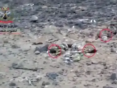 بالفيديو|| الجيش اليمني يوثق مصرع 12 عنصراً من ميليشيا الحوثي بكمينٍ محكم في مأرب - وكالة ستيب نيوز