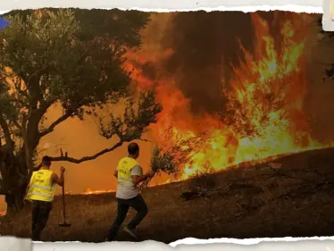 حرائق الجزائر تصل الثكنات العسكرية.. مقتل 10 جنود وإصابة 25 آخرين - وكالة ستيب نيوز