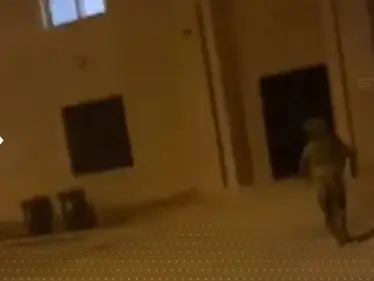 شاهد|| بحادثة "استفزازية".. جندي إسرائيلي يلقي قنبلة داخل مسجد فلسطيني أثناء رفع الأذان - وكالة ستيب نيوز