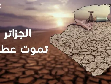 المغرب تغني وترقص بتحلية مياه البحر والجزائر تموت عطشا ..ما القصة!؟ - وكالة ستيب نيوز