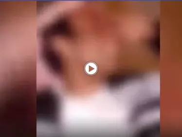 بالفيديو|| السعودية تقبض على مواطن روج لتعاطي المخدرات وتضبط كميات ضخمة من الحشيش - وكالة ستيب نيوز