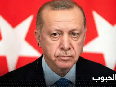أردوغان يبدأ وساطة الحبوب بحديث إلى بوتين وزيلينسكي - وكالة ستيب نيوز