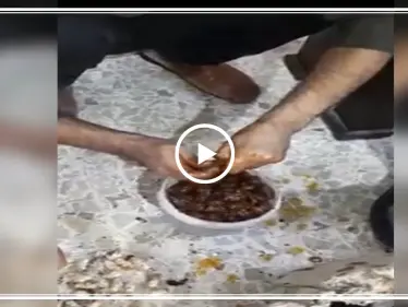 بالفيديو|| فرع تابع للنظام السوري يضبط كمية "كبتاغون" مخبأة داخل حبات مكدوس! - وكالة ستيب نيوز