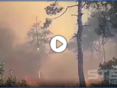 بالفيديو|| 4 حرائق في سوريا تطال مواقع مختلفة.. أحدهم افتعلته إسرائيل وآخر سببه النظام السوري - وكالة ستيب نيوز