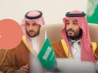 ولي العهد السعودي يطالب جميع الدول بوقف تصدير السلاح إلى إسرائيل - وكالة ستيب نيوز