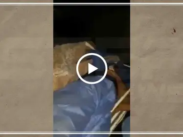 بالدهس والرمي بالرصاص.. ليلة دامية تحصد عشرات القتلى ومئات الجرحى بمظاهرات كربلاء (فيديو) - وكالة ستيب نيوز