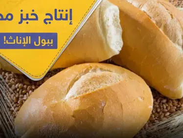 فرنسا تبدأ بإنتاج خبز مخصب بـ بول الإناث.. والتفاصيل! - وكالة ستيب نيوز