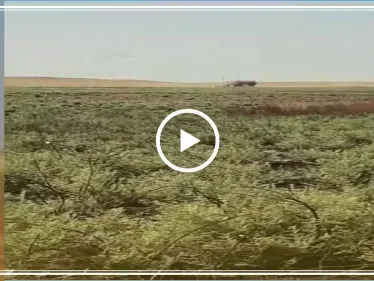 شاهد بالفيديو: حركة شعبية تفجر سيارة تابعة لميليشا قسد في الرقة - وكالة ستيب نيوز