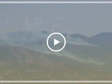 اشتعال الحرائق بأحراش جبال اللاذقية إثر القصف الجوي والبري على المنطقة (فيديو) - وكالة ستيب نيوز