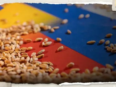 الكرملين الروسي يعلن إنتهاء صفقة الحبوب ويضع شرطاً للعودة إليها - وكالة ستيب نيوز