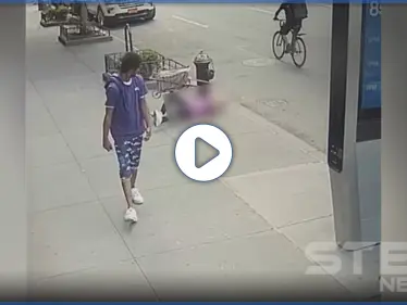 بالفيديو|| شاب أمريكي أسود يعتدي على مسنة تسعينية مسببًا لها جروحًا وصدمة نفسية - وكالة ستيب نيوز