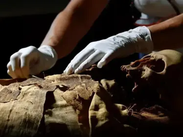 بعد 3500 عام.. علماء يكتشفون وصفة العطر الفرعوني المستخدم في التحنيط - وكالة ستيب نيوز