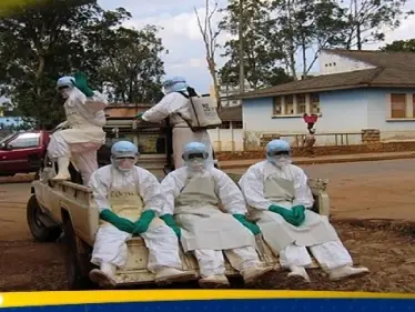 الحمى الصفراء تجبر كولومبيا على إعلان حالة الطوارئ.. كيف ينتقل الفيروس وما خطورته؟ - وكالة ستيب نيوز