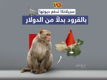 بعد تعثرها عن سداد ديونها.. سريلانكا تستعين بالقرود لتسديد قروضها للصين - وكالة ستيب نيوز