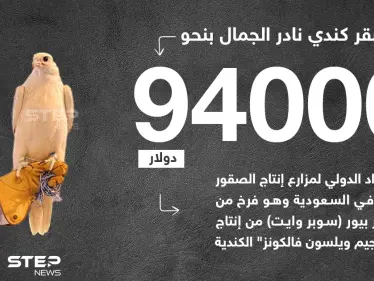 بيع صقر كندي نادر الجمال بمبلغ قياسي في السعودية - وكالة ستيب نيوز