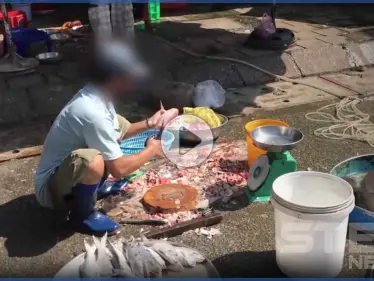 خفافيش وثعابين وقرود.. فيديو مخيف لأسواق آسيوية وتحذيرات عالمية من الموجة الثانية لـ كورونا (فيديو) - وكالة ستيب نيوز