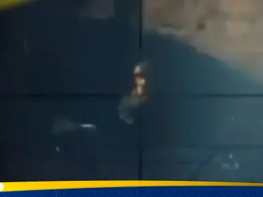 شاهد|| لمن أهدى هذه العملية.. مقاتل قسامي يفتك بقناص إسرائيلي واستهداف آليات متوغلة بغزة - وكالة ستيب نيوز