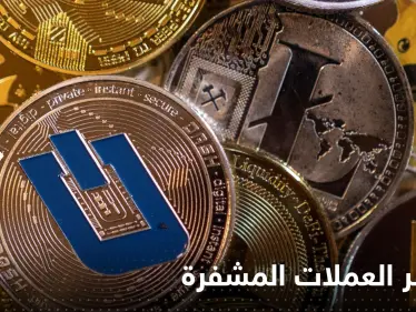 لتفادي "مخاطر العملات المشفرة" في البلدان النامية.. الأمم المتحدة تضع عدة إجراءات - وكالة ستيب نيوز