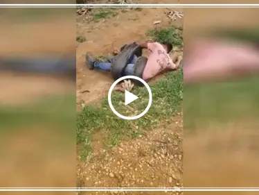 شاهد بالفيديو|| ثعبان ضخم يلتف حول شاب محاولاً افتراسه!! - وكالة ستيب نيوز