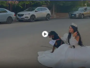 بالفيديو|| البلوجر هبة مبروك تعلن زواجها من كلب وتنشر حفل زفافها مثيرة استفزاز المصريين - وكالة ستيب نيوز