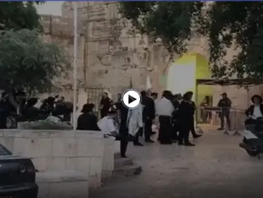 بالفيديو|| مستوطنون يستفزون المصلين في المسجد الأقصى بأدائهم "الطقوس التلمودية" بالتزامن مع رفع أذان المغرب - وكالة ستيب نيوز