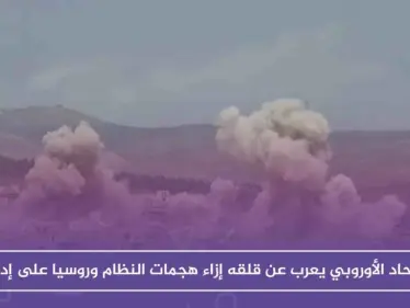 الاتحاد الأوروبي يعرب عن قلقه إزاء هجمات النظام وروسيا على إدلب - وكالة ستيب نيوز