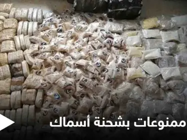 بعد إصدار حكم الإعدام بتجار الممنوعات.. الكويت تضبط كميات مهربة في شحنة أسماك وهذا مصير الفاعل - وكالة ستيب نيوز