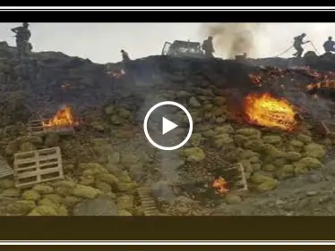 كان بالإمكان الاستفادة منها.. معبر الراعي يتلف 175 طن بطاطا لهذا السبب (فيديو) - وكالة ستيب نيوز