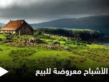 جزيرة الأشباح المهجورة منذ قرن.. معروضة للبيع بسعر زهيد ولا أحد يجرؤ على شرائها تعرف على قصتها - وكالة ستيب نيوز