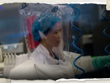 تقرير استخباراتي أمريكي يُبرئ ووهان من كارثة كوفيد - وكالة ستيب نيوز