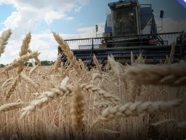 من مصر.. بيان روسي يتحدث عن معلومات "خطيرة" حول صفقة الحبوب وعلاقة أوروبا بها - وكالة ستيب نيوز