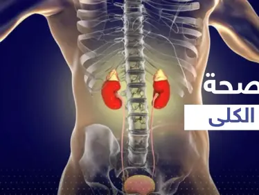 4 مشروبات شهيرة الإفراط في تناولها يضر بكليتك ويسبب تلفها.. احذر منها - وكالة ستيب نيوز