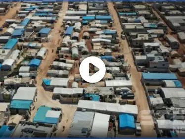 حشرة سامة غريبة تظهر في مخيمات إدلب وتسبب وفاة طفلة وسط مناشدات من الأهالي (فيديو) - وكالة ستيب نيوز