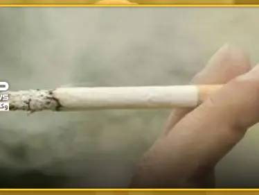 مجموعة نصائح منزلية بسيطة.. لتنظيف رئتيك من التدخين وكسب جهاز تنفسي قوي - وكالة ستيب نيوز