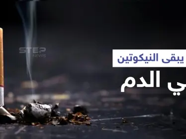 كم يبقى النيكوتين في الدم وتأثيره على جسم الإنسان إليك أهم المعلومات - وكالة ستيب نيوز