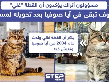 مسؤولون أتراك يؤكدون أن القطة 