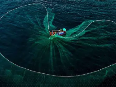 شباك صيد فرنسية تتحول إلى دروع واقية ضد المسيرات الروسية في أوكرانيا - وكالة ستيب نيوز