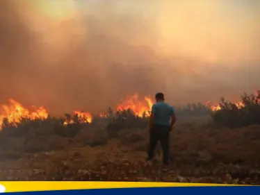 حرائق سوريا.. تستعر من جهة وتهدأ في جهة أخرى  - وكالة ستيب نيوز