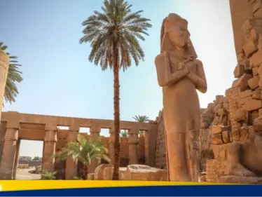 مصر تعلن عن 