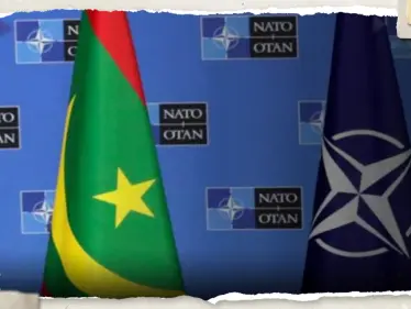 صحيفة أمريكية: قوى عظمى تغازل دولة عربية لما تملكه من مقومات هائلة - وكالة ستيب نيوز