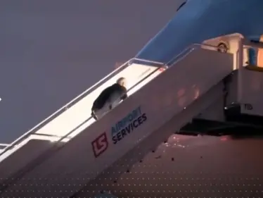 بالفيديو|| الرئيس الأمريكي يتعثر على سلم الطائرة قبل مغادرته العاصمة البولندية وارسو - وكالة ستيب نيوز